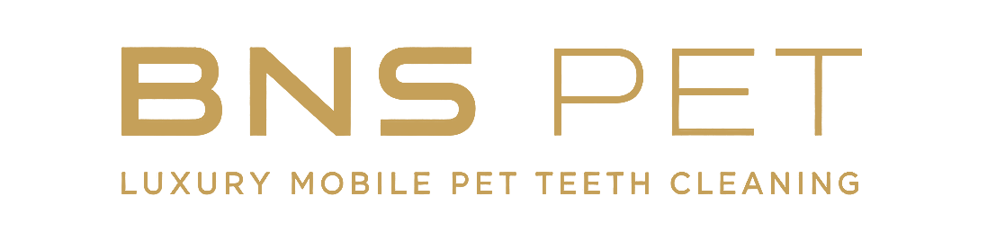 BNS PET Logo