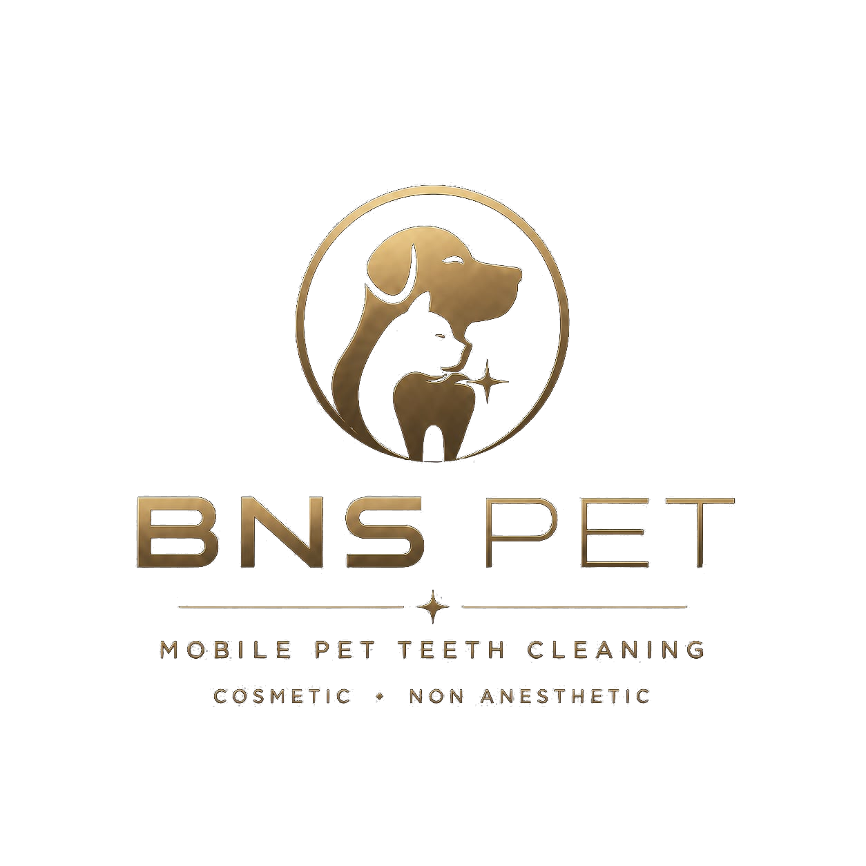 BNS PET Logo